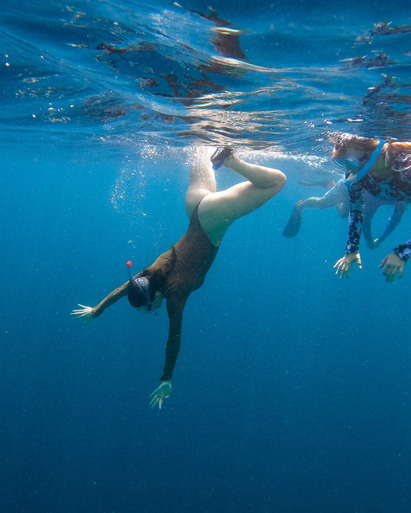 Aleyna Kalaycıoğlu xxx porn