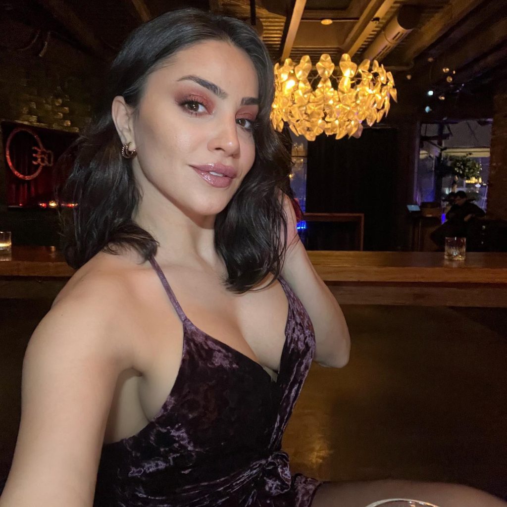 Serpil Cansız slut hot images