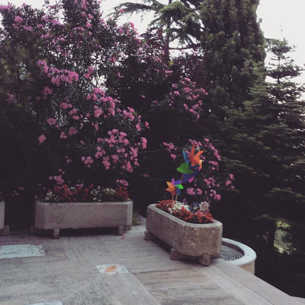 Türkan Şoray pussy